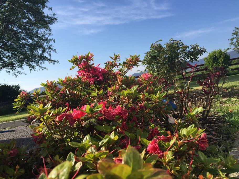 Killarney Farm House. 外观 照片
